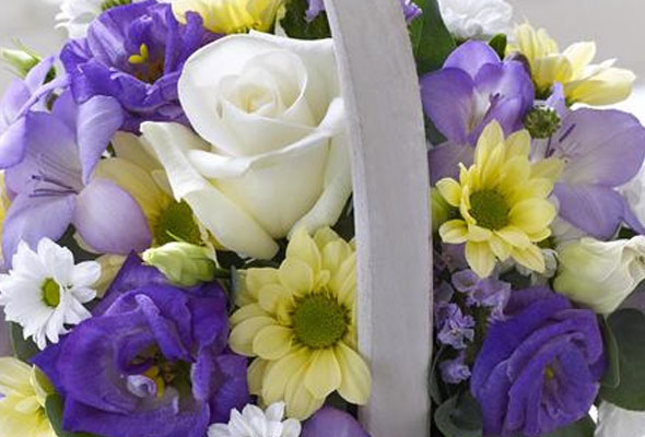 Flowers by Occasion
